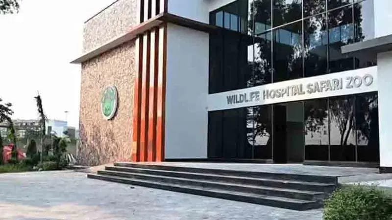 Pakistan’s First Wildlife Hospital Completed as Punjab Crosses 50 Million Tree Plantation Milestone in One Year