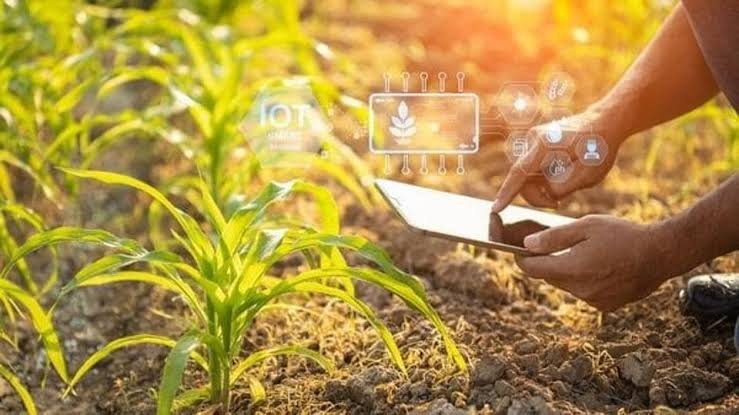 Punjab Accelerates Efforts to Modernize Agriculture Through AI Technology